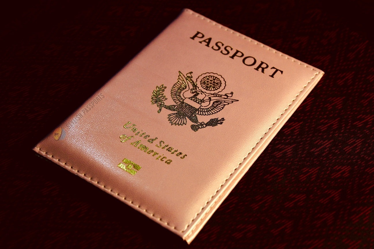 US Passport Holder (BEST 1) Passport Holder, Cover Stylish Passports
